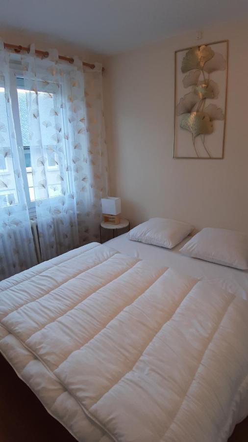 Maison 6-9 Pers Pour Vacances Et Cure ThermaMont-Dore Zewnętrze zdjęcie